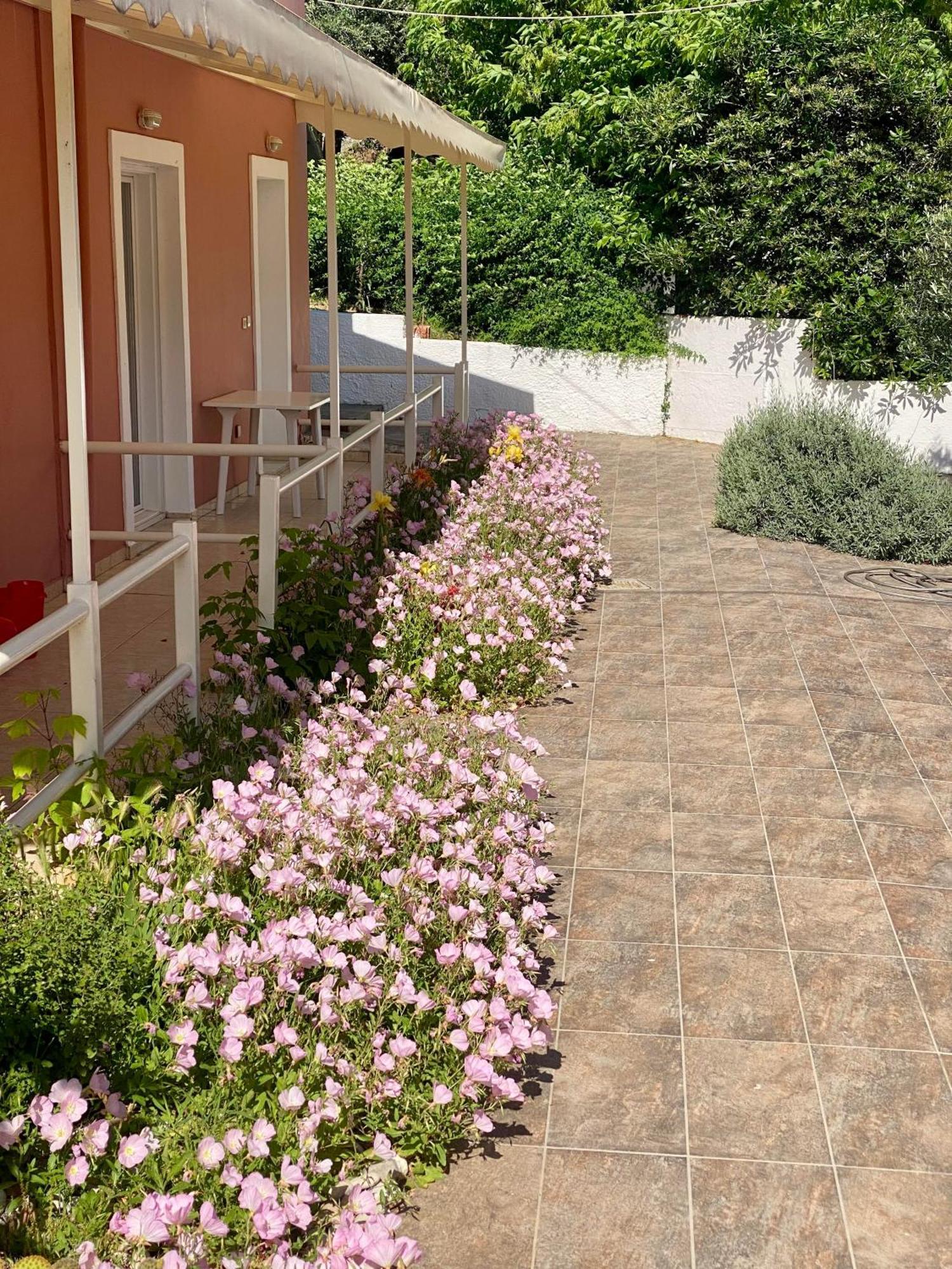 Paradiso Hotel Sea View And Pool Suites Ipsos Corfu Luaran gambar